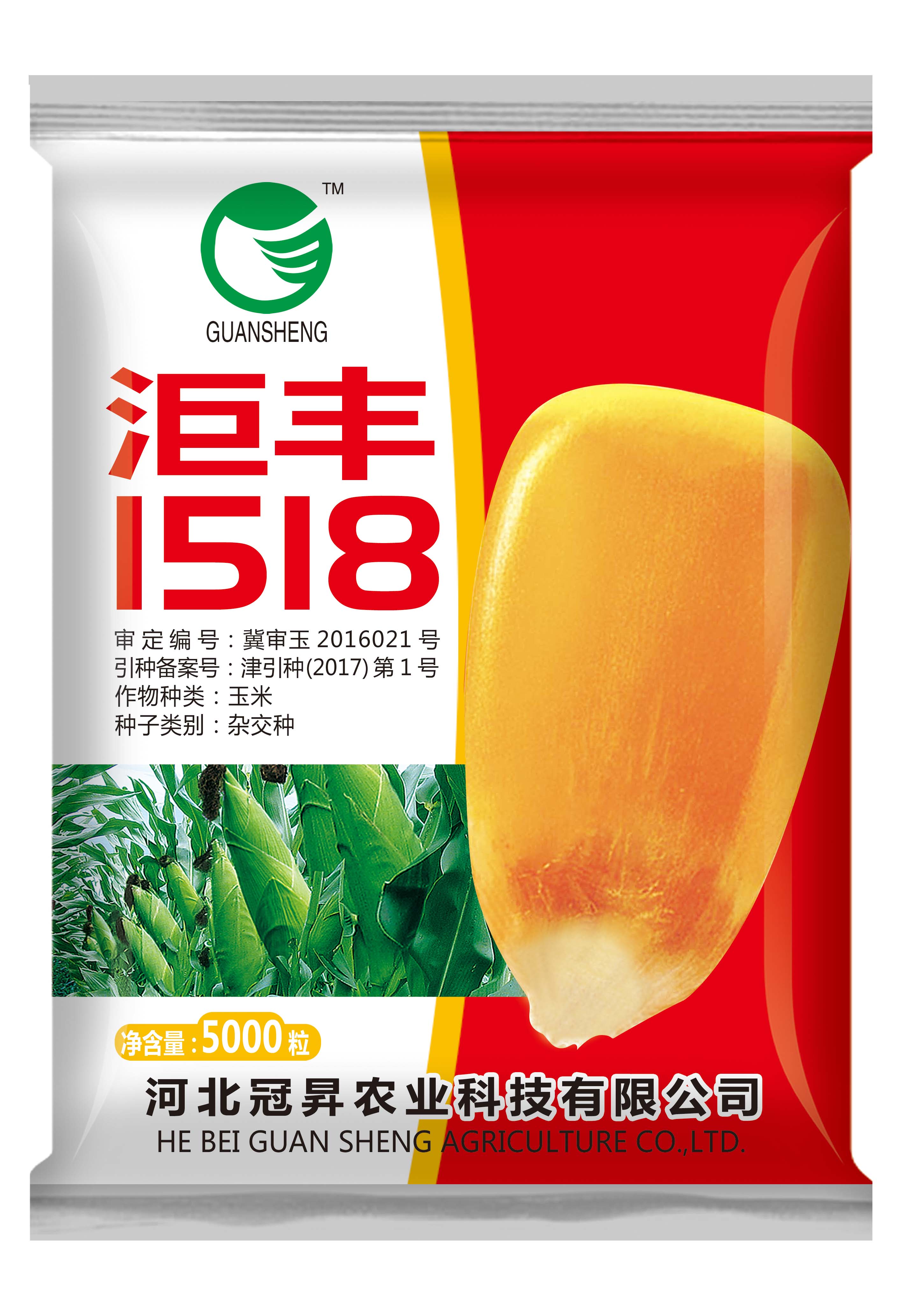 洰丰1518--红轴典范 真粒收品种 耐密高抗倒